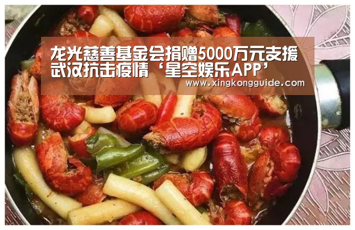 龙光慈善基金会捐赠5000万元支援武汉抗击疫情‘星空娱乐APP’(图3) 星空娱乐APP