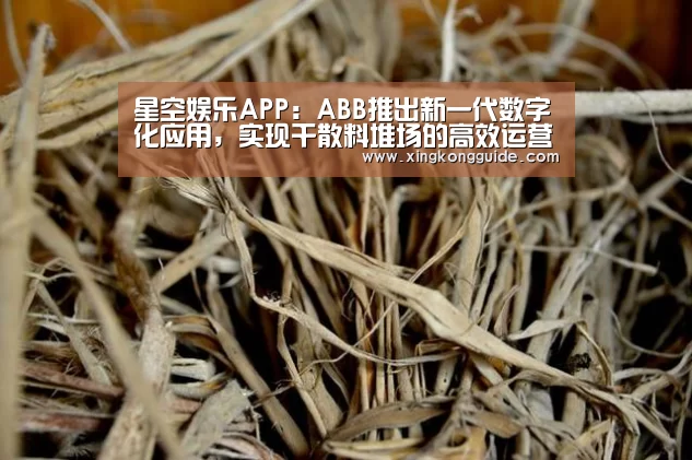 星空娱乐APP