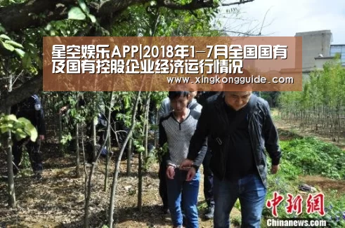 游戏星空网站