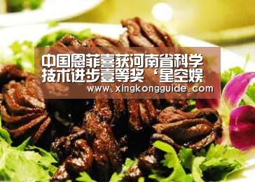 中国恩菲喜获河南省科学技术进步壹等奖‘星空娱乐APP’(图3) 游戏星空网站