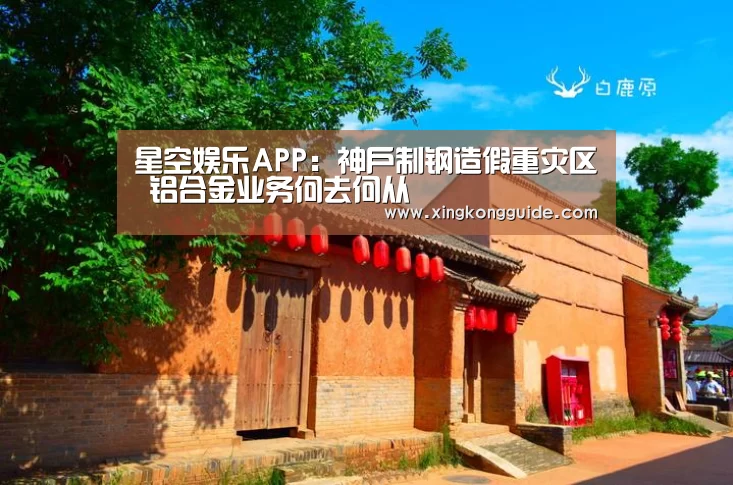 星空娱乐APP:神户制钢造假重灾区 铝合金业务何去何从(图2) 游戏星空网站