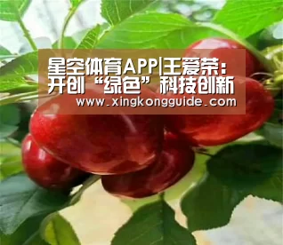 游戏星空网站